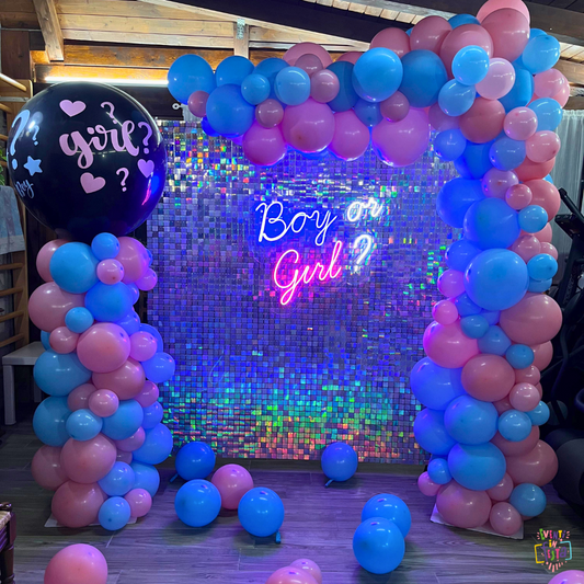 SET - Semiarco con Pannello, Scritta a Led e Mongolfiera - Gender Reveal